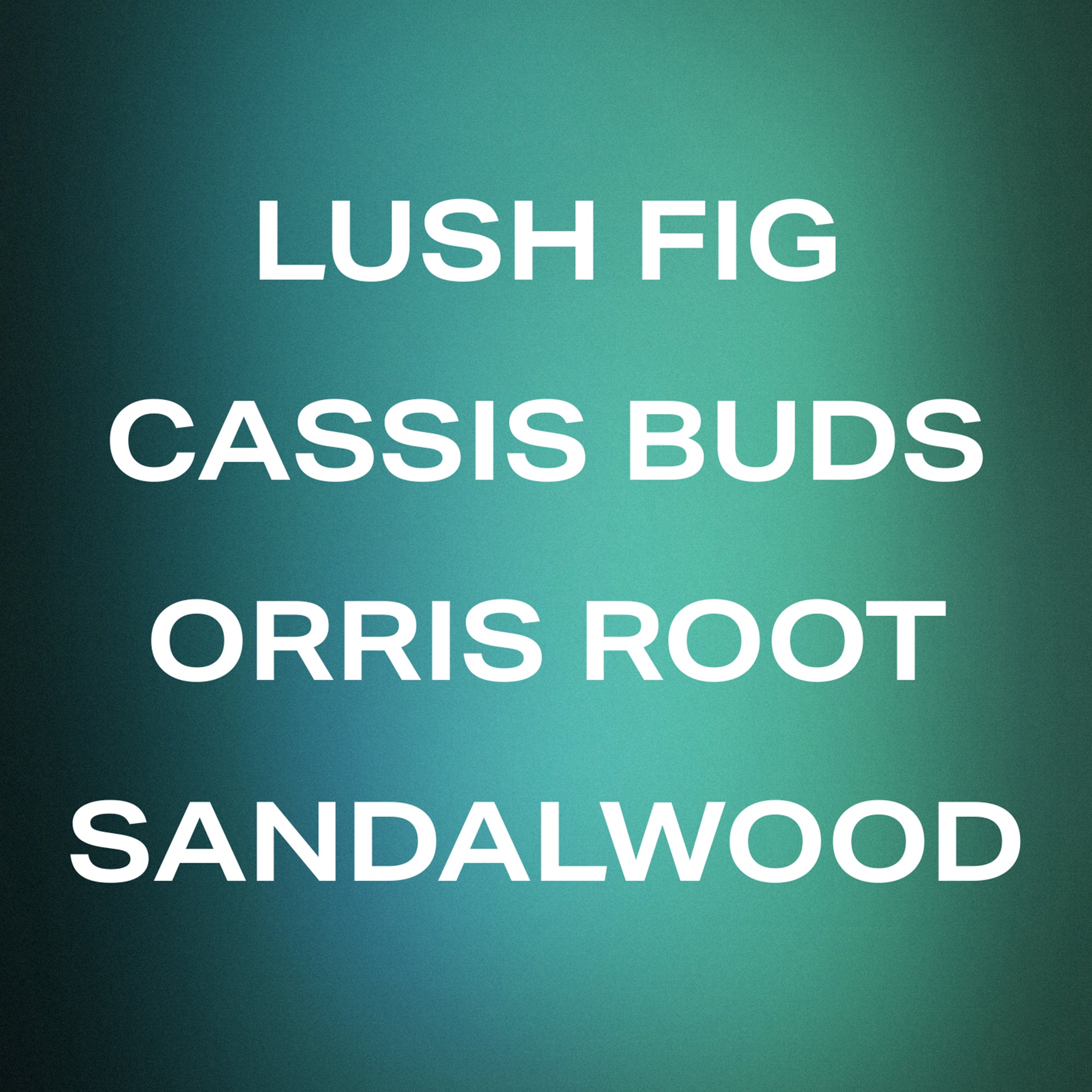 Father Figure - Fragrance Duet - Image 3