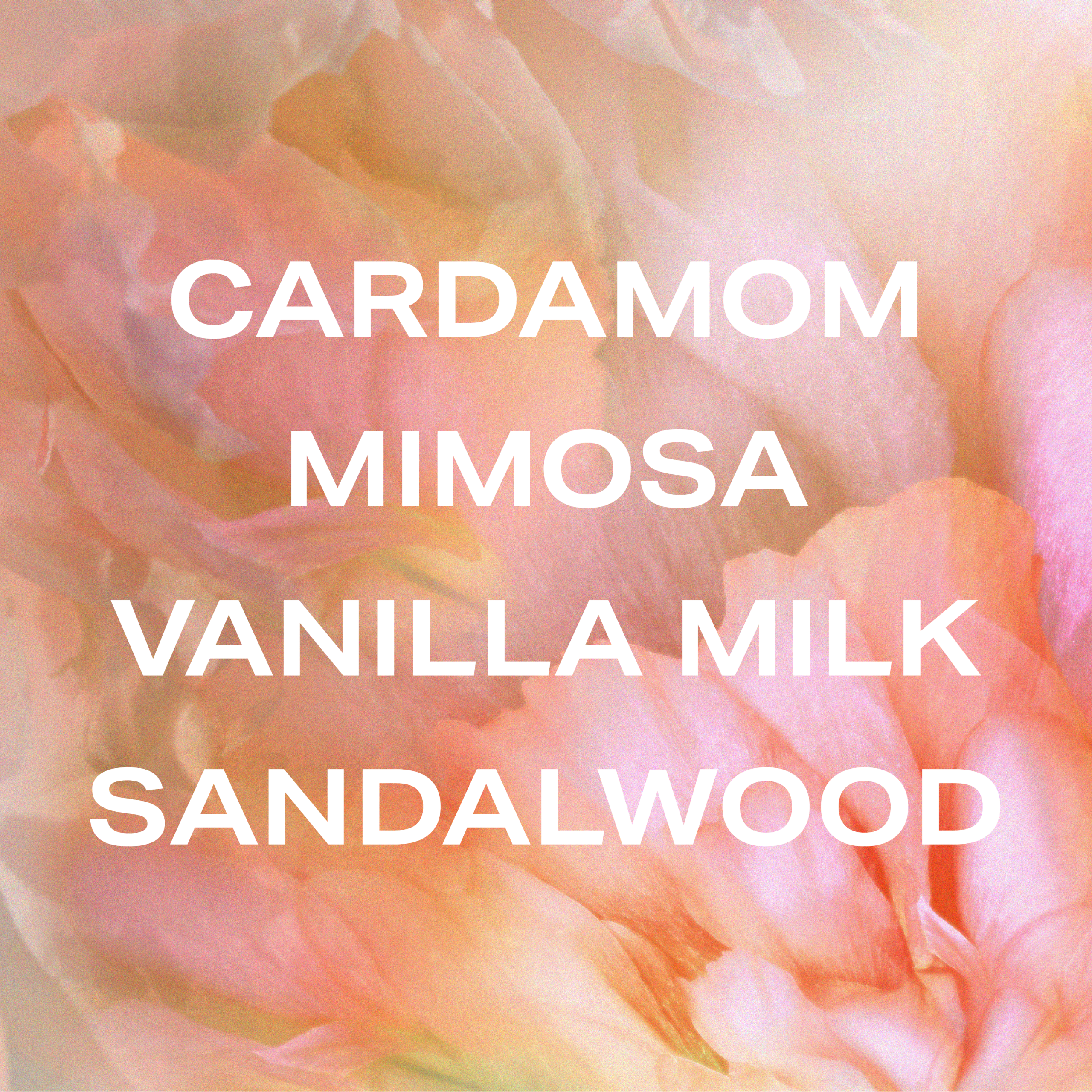 Not Your Baby - Fragrance Duet - Image 3