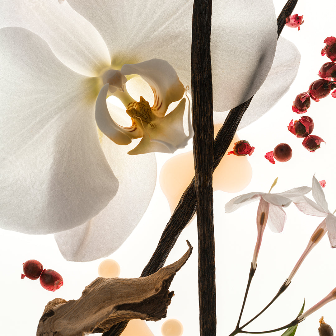 Vanilla Skin - Fragrance Duet - Image 4