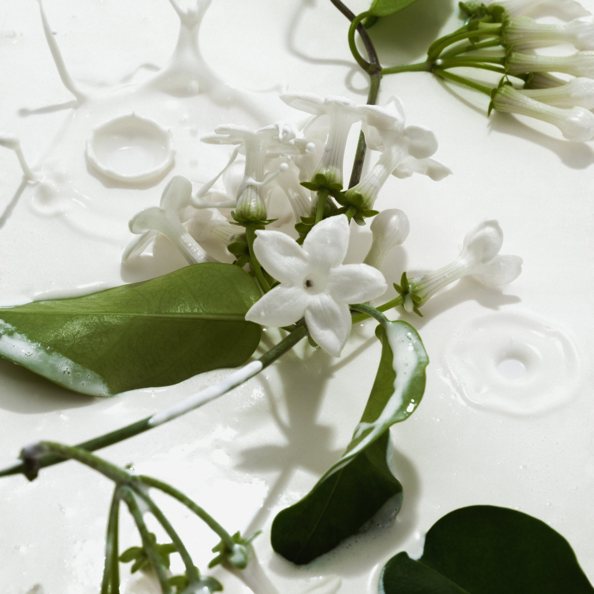 Heavy Cream - Travel Size Body Mist - Image 4