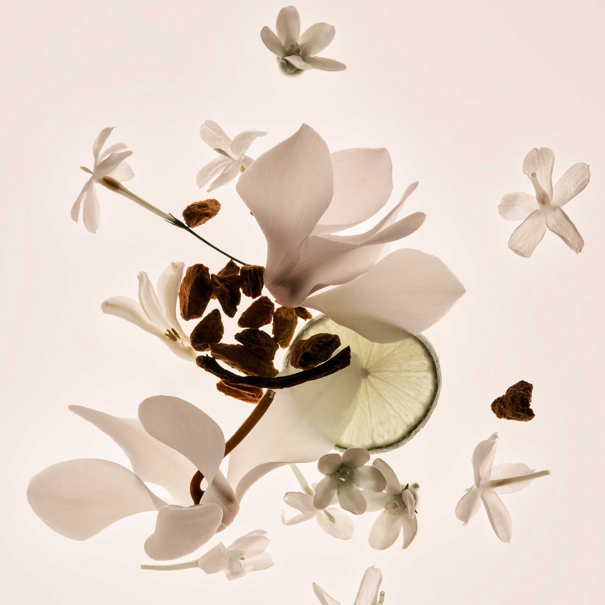 Missing Person - Body Lotion - Image 4