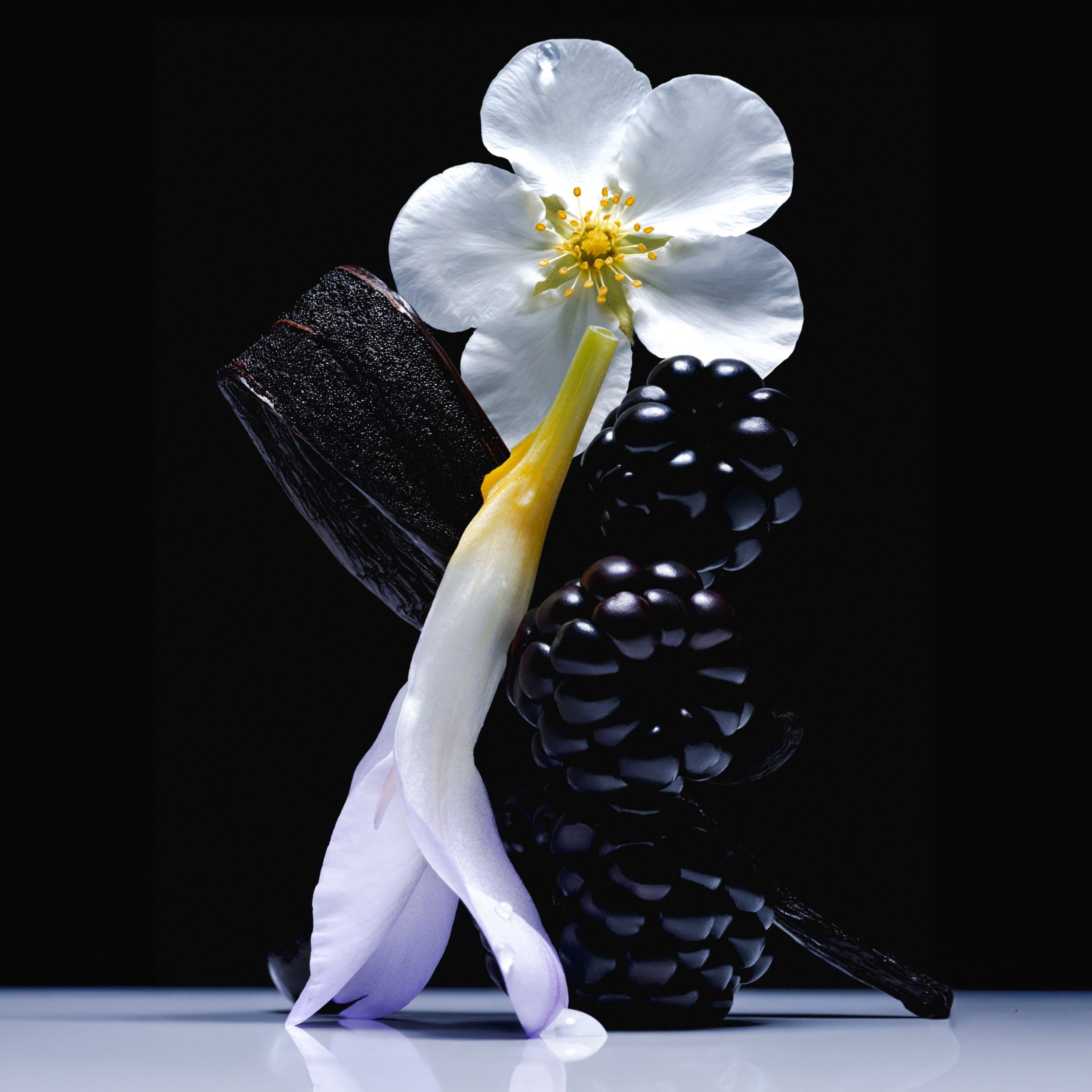 Vanilla Blackberry - Travel Size Body Mist - Image 4